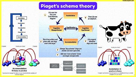 piaget's schema examples.